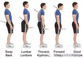 适合不同年龄段篮球爱好者的体能训练方案_2